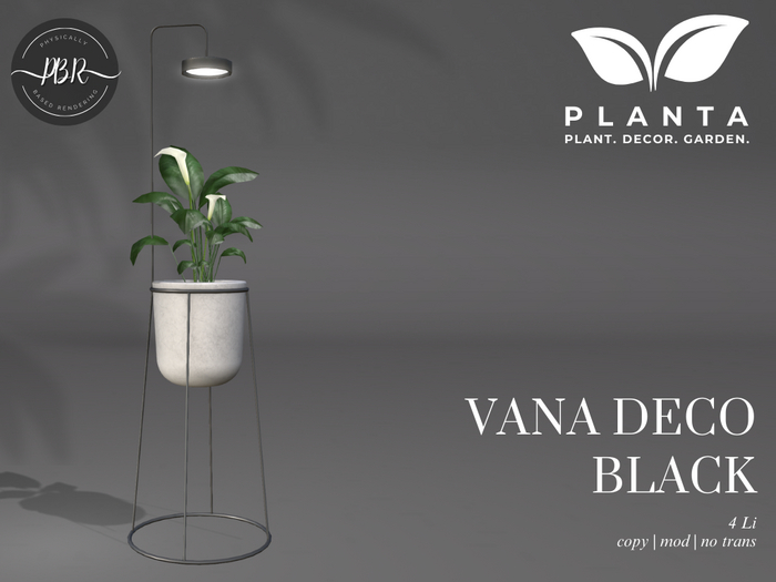 Planta - Vana Deco Black
