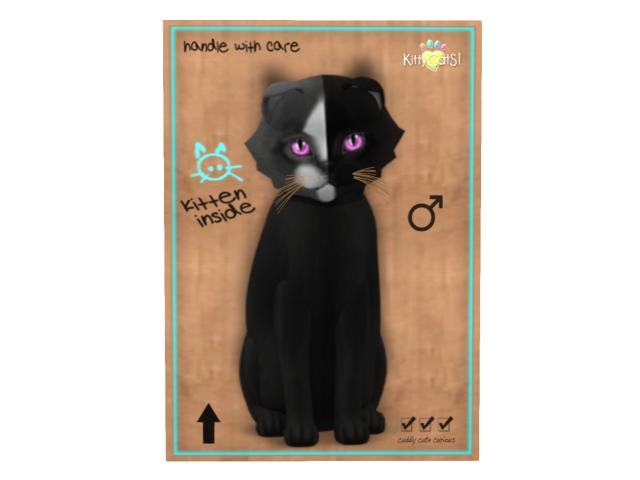 KittyCatS Box - 9T - M - Chimera - Black Grey