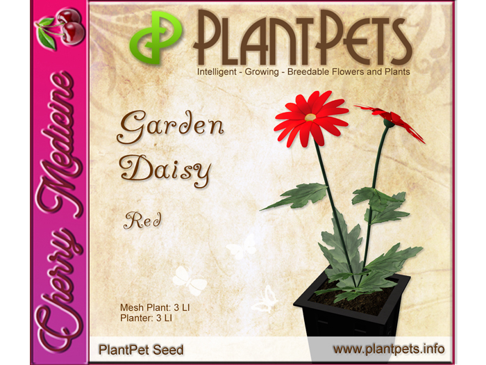 PlantPet Seed [Garden Daisy *Red*]