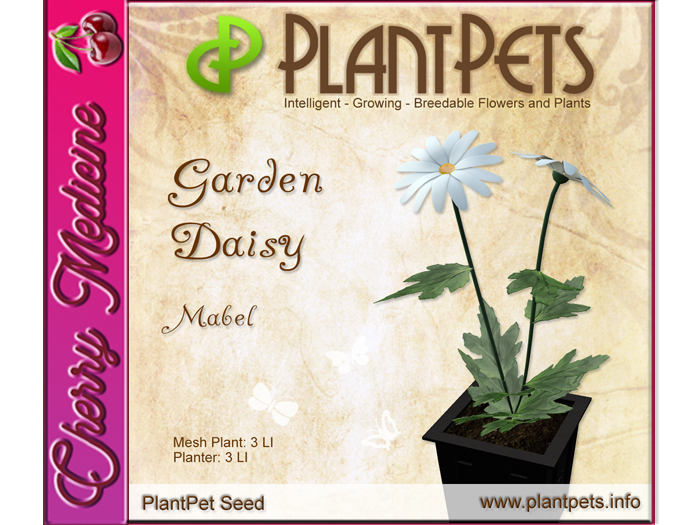 PlantPet Seed [Garden Daisy *Mabel*]
