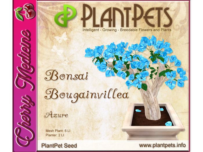 PlantPet Seed [Bonsai Bougainvillea *Azure*]