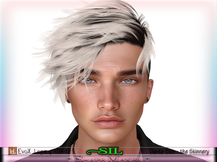 ++SHAPE MAKER++"SIL SHAPE"