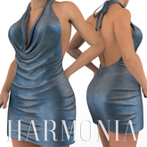 Maitreya Outfit Dress
