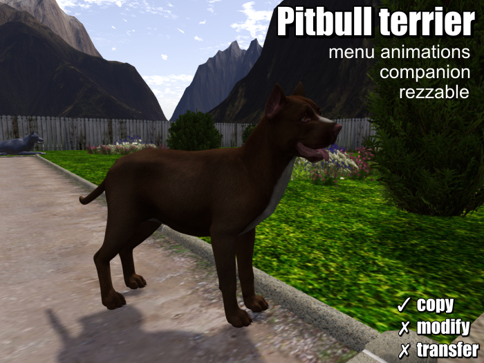 .:Bellart Studio:. Pitbull terrier