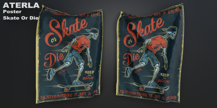 ATERLA - Poster Retro SKATE or DIE