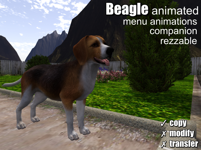 .:Bellart Studio:. Beagle