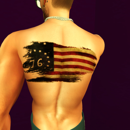 Gadsden Chest & Ross Back