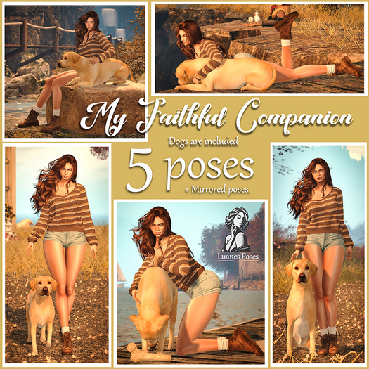 Luanes Poses - My Faithful Companion