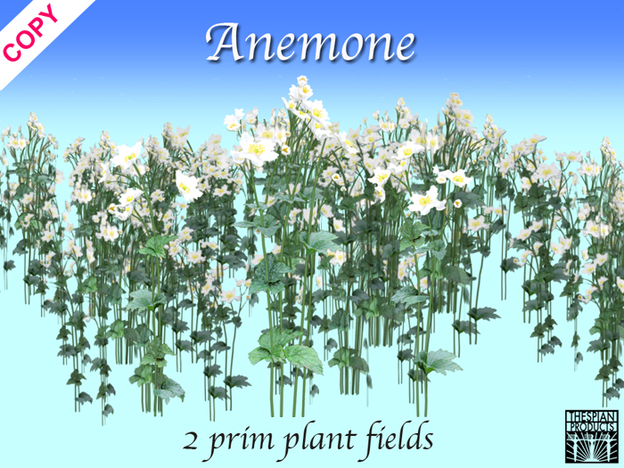Summer meadow - Anemone Field 3 sizes  - Thespian Products