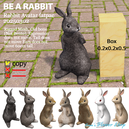 (g.) Rabbit Avatar fatpack 20250302