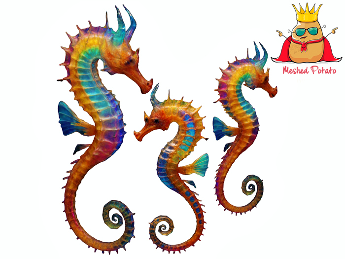 Meshed Potato Seahorse Full Perm