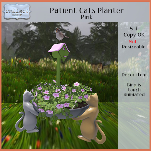 Patient Cats Planter - Pink - { collect }