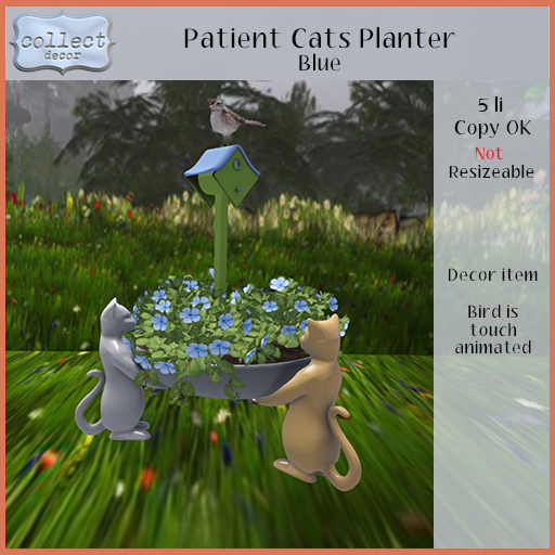 Patient Cats Planter - Blue - { collect }