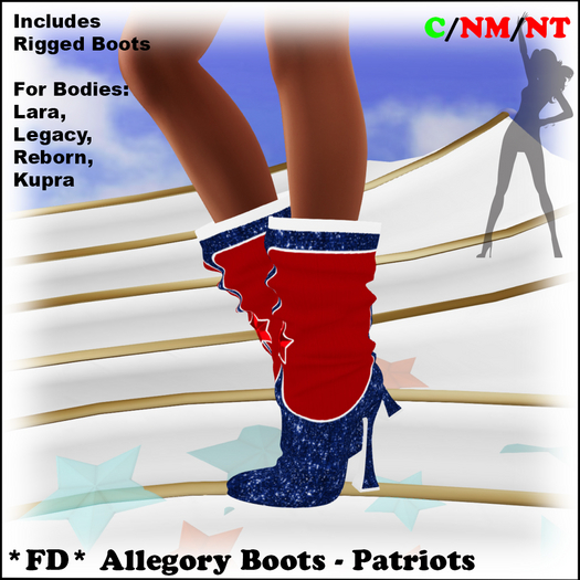 *FD* Allegory Boots [Boxed] Patriots