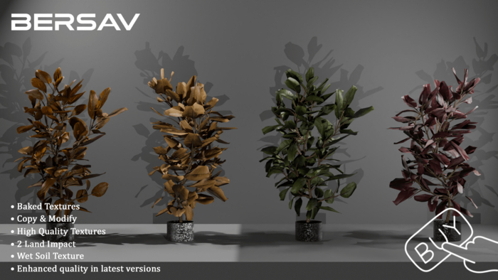 Bersav - Luna Plant FATPACK (Add)