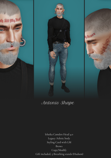 Cuzy/ Antonio shape-ADD