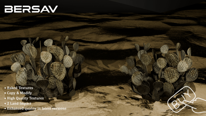 Bersav - Cactus FATPACK (Add)