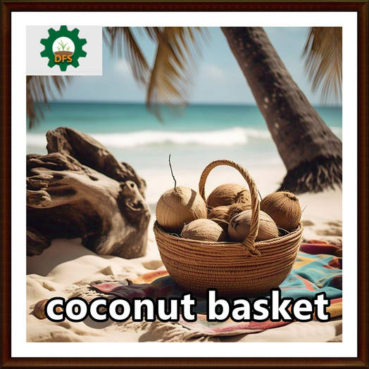 DFS Coconut Basket - Texture