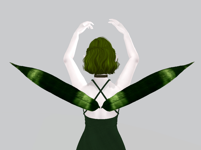Bamboo Wings