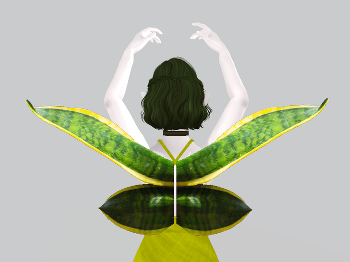 Fortune Plant Wings
