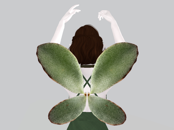 Jade Succulent Wings