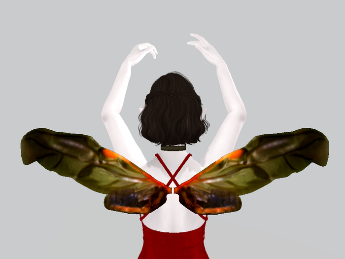 Ladybug Wings