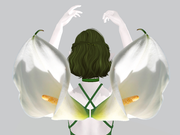 Lily Flower Wings