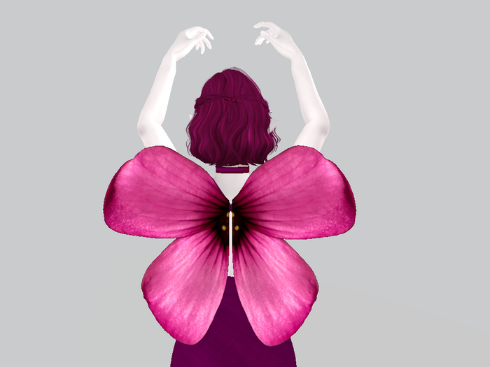 Redwood Sorrel Wings