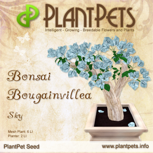 PlantPet Seed [Bonsai Bougainvillea *Sky*]