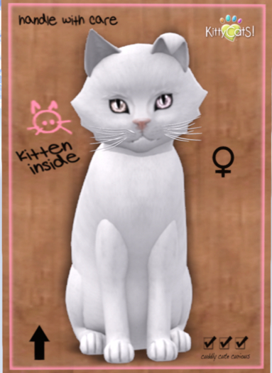 KittyCatS Box - Russian - White
