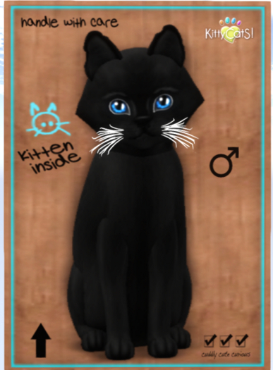 KittyCatS Box - Russian - Black