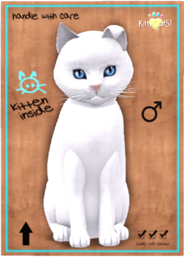 KittyCatS Box - Russian - White