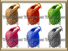 Zoy Alpha Texture [ EAGLE HEAD ] 6 Textures