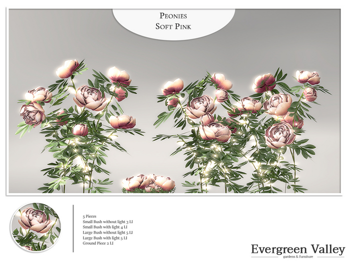 Peonies Soft Pink