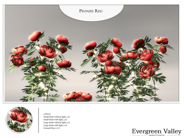 Peonies Red