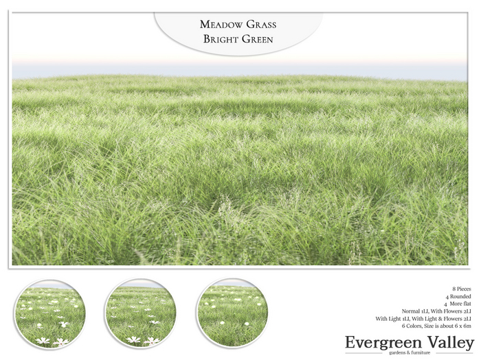 Grass