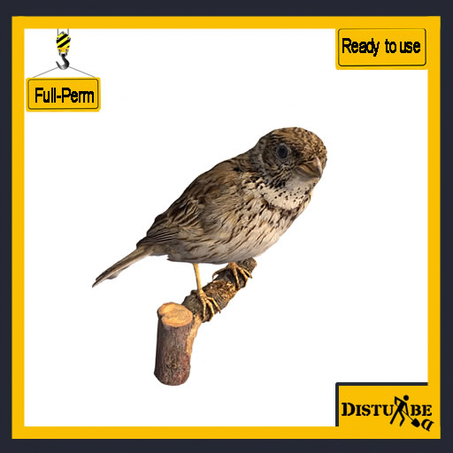 ::DisturbeD:: Bird - FULL PERM MESH