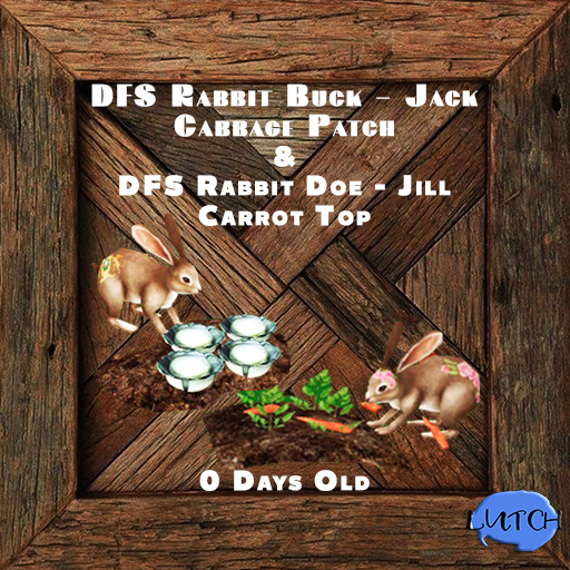 DFS Rabbit Doe & Buck - Jill Carrot Top & Jack Cabbage Patch