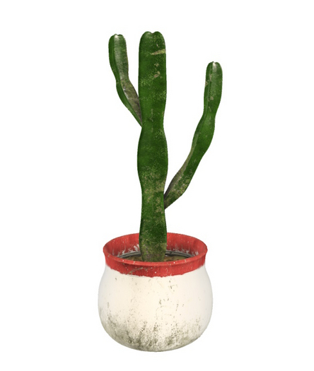 Concept}  Cactus in pot 1Li