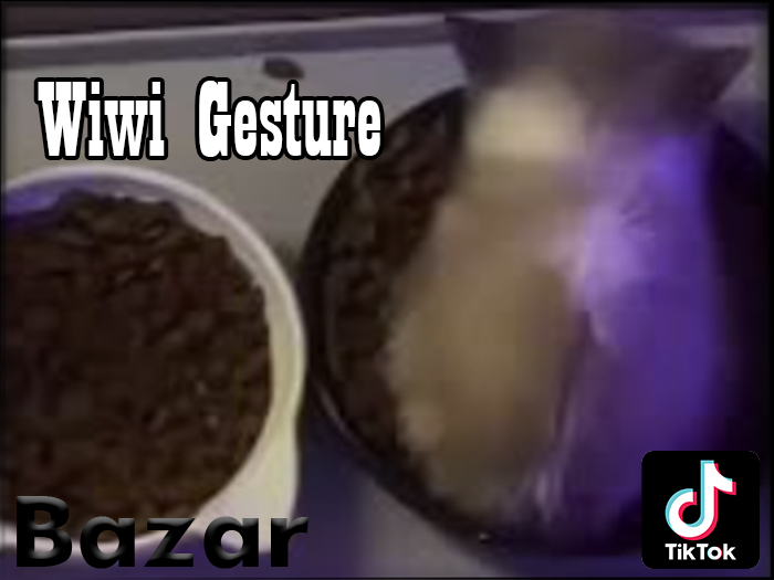 BAZAR - Wiwi Gesture