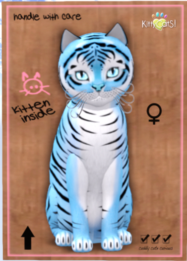 KittyCatS Box - Tiger! - Powder Blue