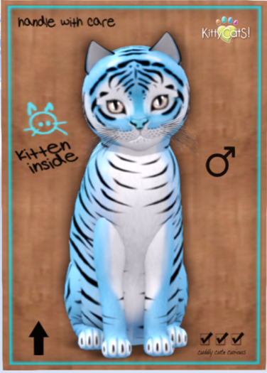 KittyCatS Box - Tiger! - Powder Blue