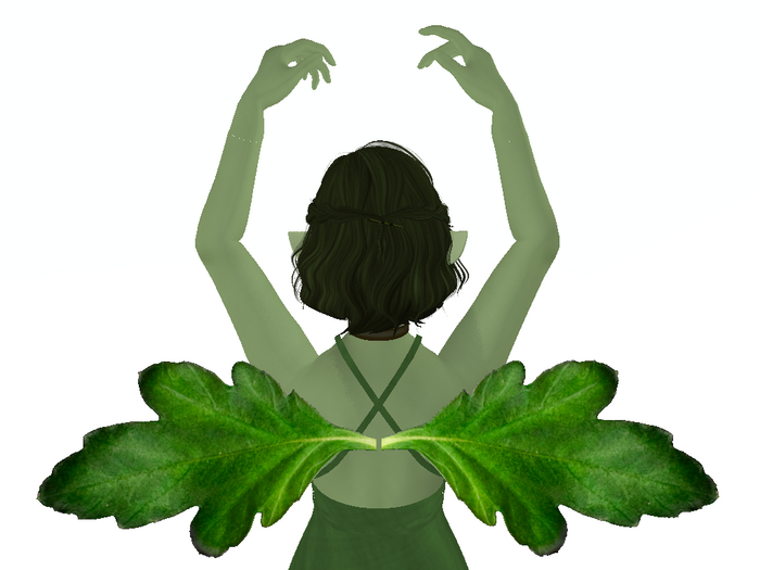 Clover Flower Leaf Wings