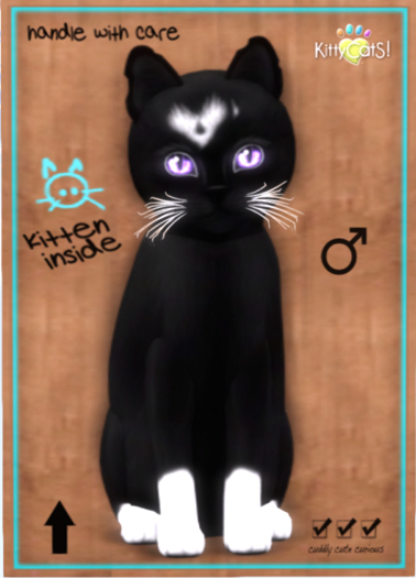 KittyCatS Box - Genesis - Domino IV