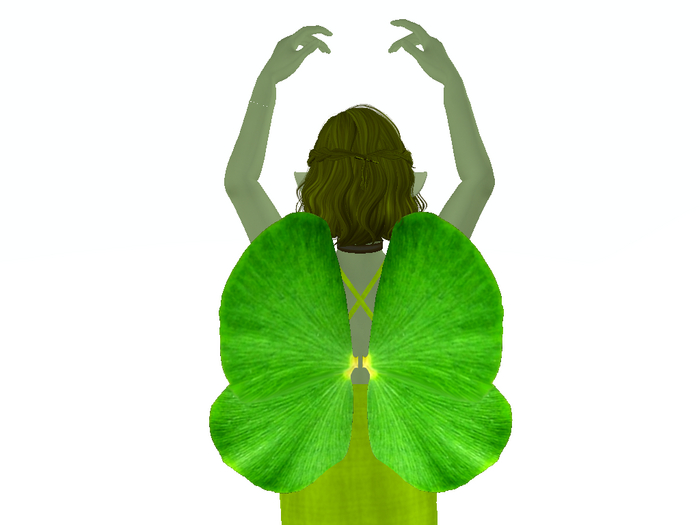 Clover Four Leaf Butterfly Wings