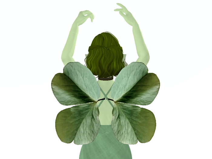 Grey Clover WIngs