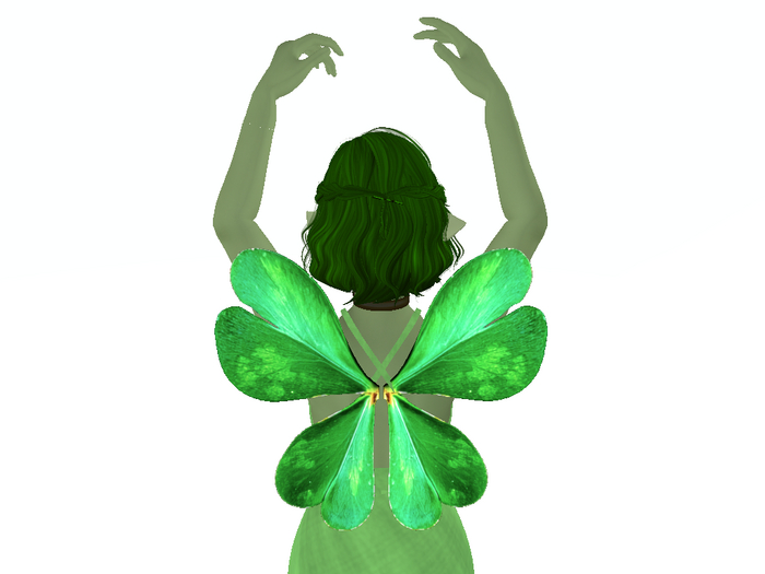 Spotted Clover Wings