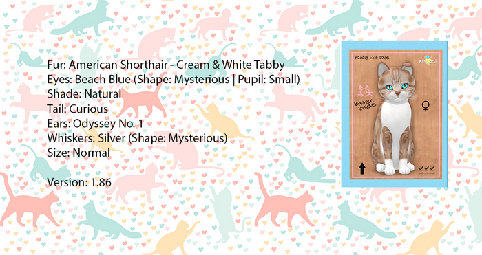 KittyCatS Box - Cream & White Tabby