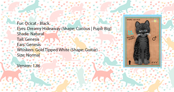 KittyCatS Box - Ocicat - Black