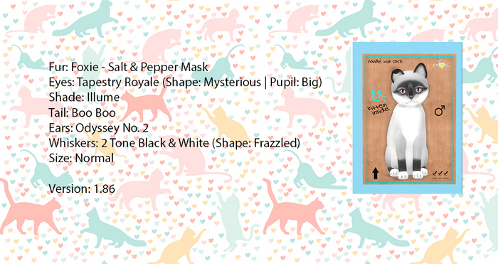KittyCatS Box - Foxie - Salt & Pepper Mask